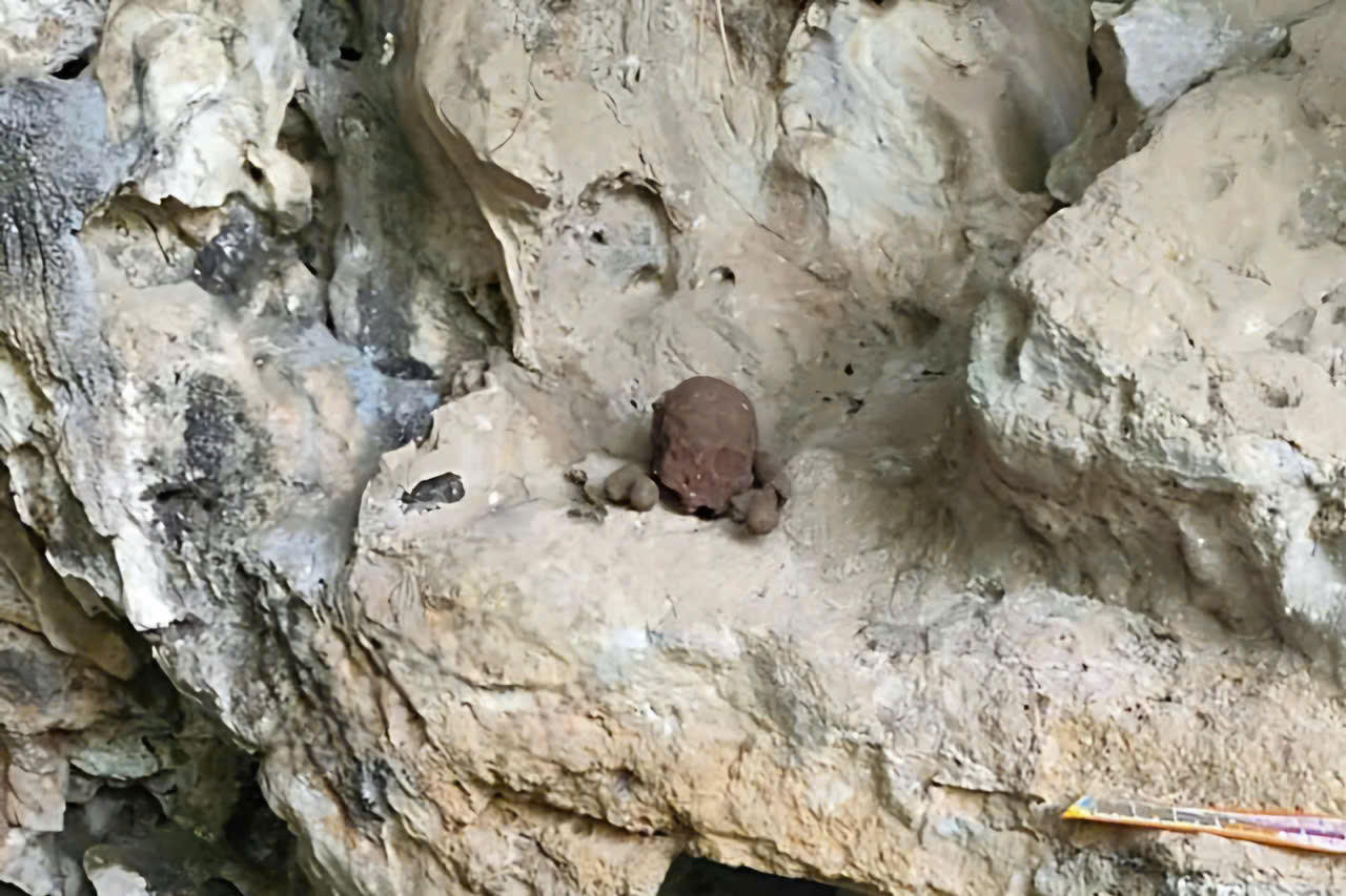 Phát hiện nhiều bộ hài cốt nghi của người trong hang đá ở Nghệ An