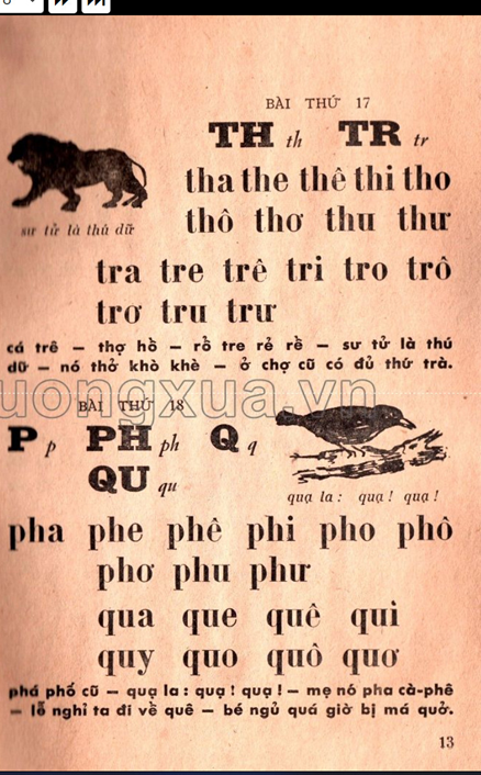 SGK không dạy chữ P: Cải tiến hóa thành cải lùi…64 năm