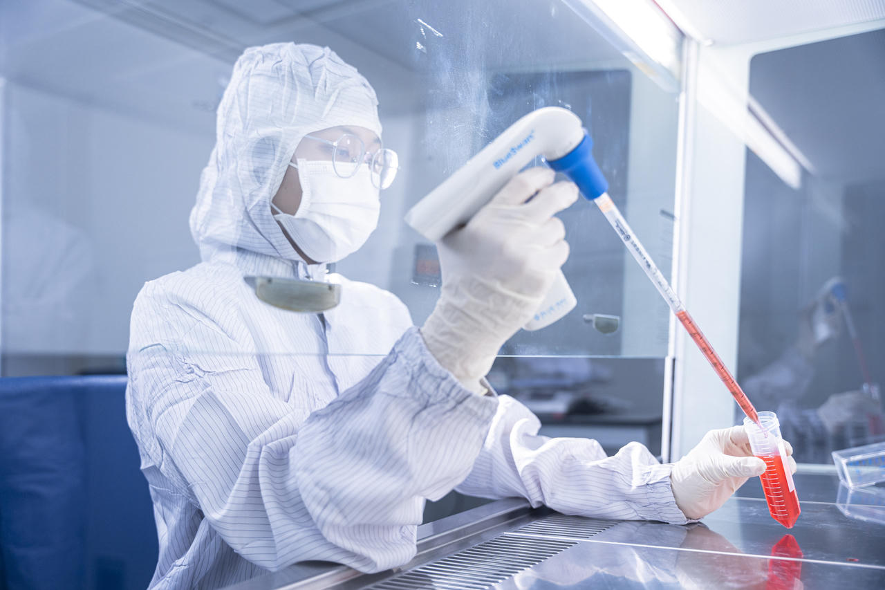 Bệnh viện Thẩm mỹ SIAM Thailand công bố giấy phép ngân hàng mô - tế bào gốc, đánh dấu bước chuyển mình vào y học tái tạo