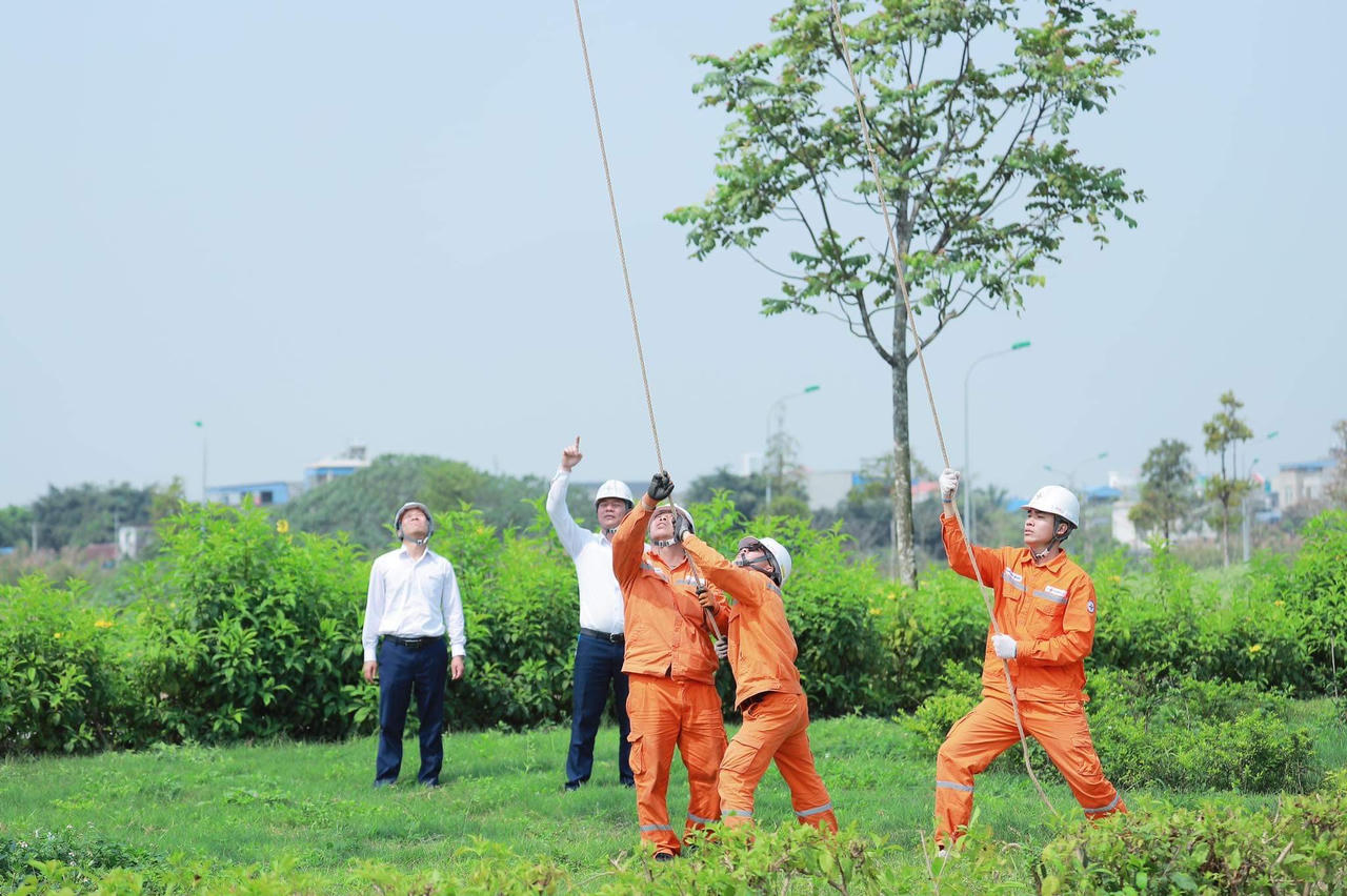 Điện lực Nam Định nâng cao năng lực truyền tải điện - đảm bảo cấp điện mùa nắng nóng