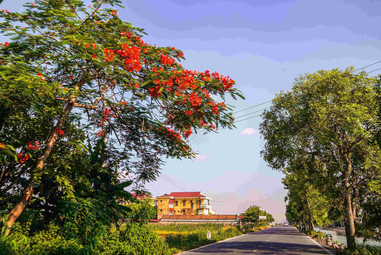 Nam Định có 19 xã được công nhận đạt chuẩn NTM kiểu mẫu