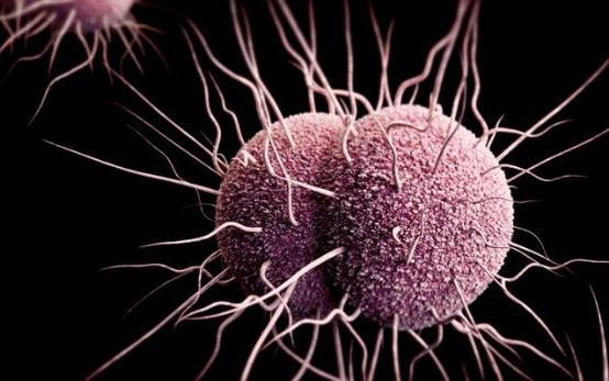 Cảnh báo những bệnh gây đau bụng dưới ở phụ nữ