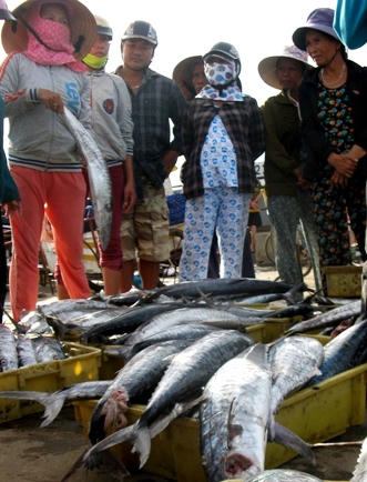 Bàn giao 2 trạm bờ liên lạc giúp ngư dân vững tâm bám biển