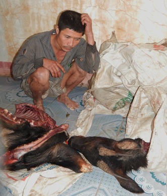 Khởi tố 2 vụ vận chuyển động vật quý hiếm ở vườn Phong Nha – Kẻ Bàng