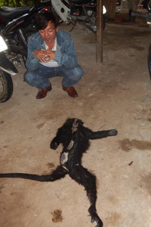 Khởi tố 2 vụ vận chuyển động vật quý hiếm ở vườn Phong Nha – Kẻ Bàng