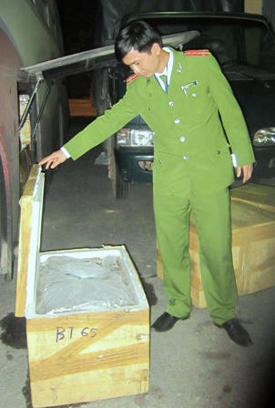  Quảng Bình bắt giữ xe khách ngăn chuồng chở… cừu, dê