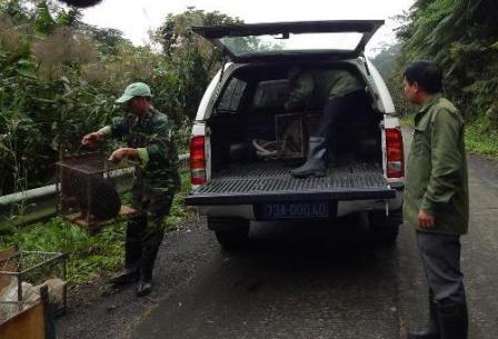 Truyền hình Đức làm phim về động vật rừng Phong Nha – Kẻ Bàng