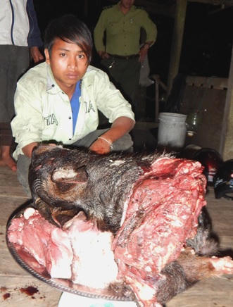 Khởi tố kẻ mượn chó xẻ thịt thú rừng