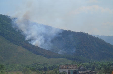 Quảng Bình: Cháy lớn ở rừng thông kinh tế