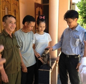 Dân giao nộp voọc chà vá quý hiếm cho vườn Phong Nha