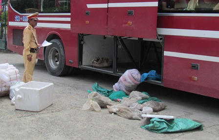 Trăn, lợn rừng, ba ba đi… xe khách giường nằm