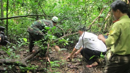 Thả 18 cá thể động vật hoang dã quý hiếm về tự nhiên