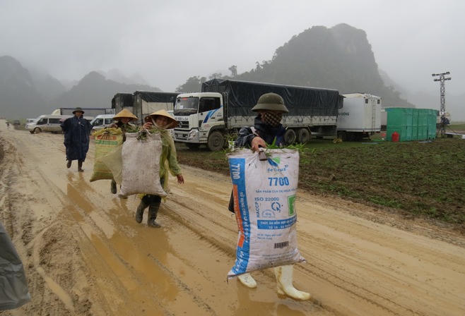 Chùm ảnh: King Kong khuấy động hang Chuột ở Việt Nam