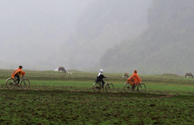 Chùm ảnh: King Kong khuấy động hang Chuột ở Việt Nam