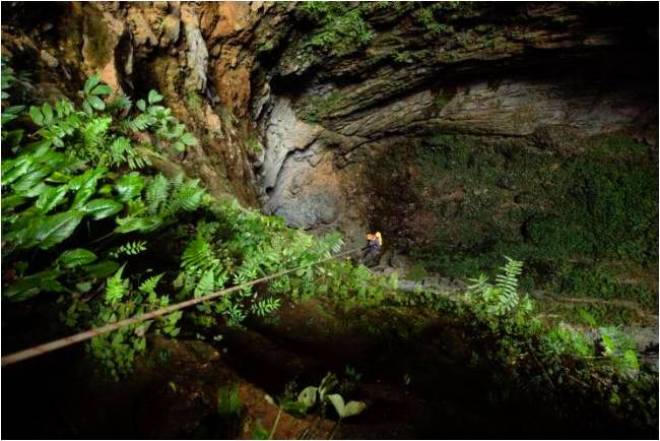 Phát hiện 57 hang động mới độc đáo ở Quảng Bình