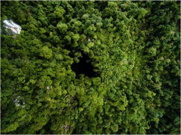 Phát hiện 57 hang động mới độc đáo ở Quảng Bình