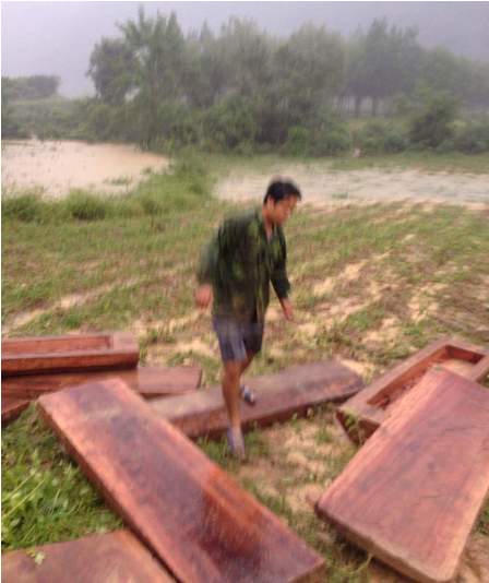 Lâm tặc liều lĩnh tấn công kiểm lâm, cướp gỗ tang vật