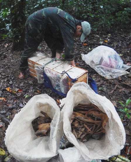 Phát hiện vụ vận chuyển động vật hoang dã trong rừng Phong Nha