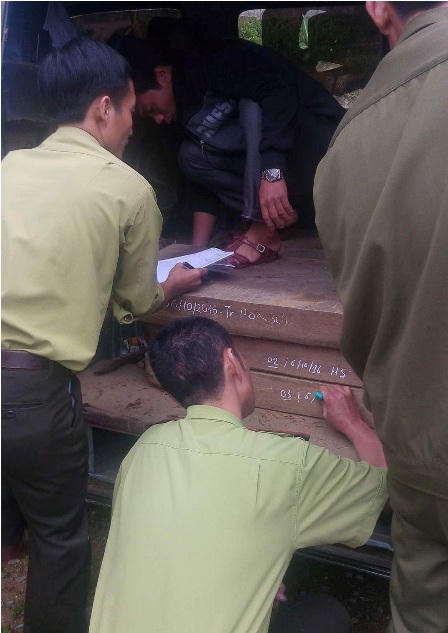 Lâm tặc dùng xe biển xanh chở gỗ lậu, đe dọa kiểm lâm