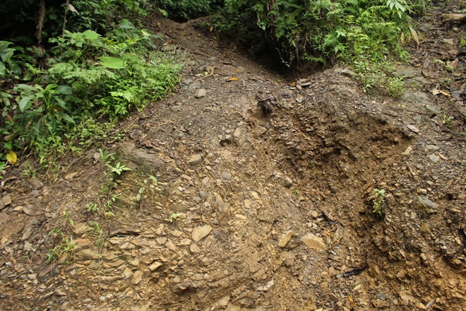 Xót xa nhìn rừng Hoá Sơn, Quảng Bình bị lâm tặc “đại phẫu”