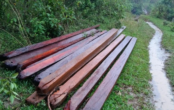 Xót xa nhìn rừng Hoá Sơn, Quảng Bình bị lâm tặc “đại phẫu”