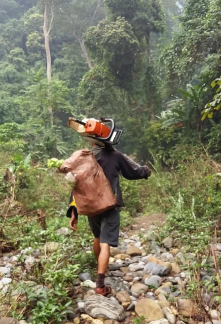 Xót xa nhìn rừng Hoá Sơn, Quảng Bình bị lâm tặc “đại phẫu”