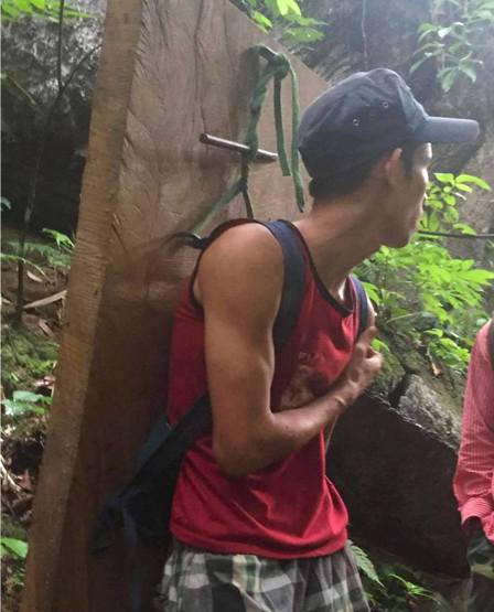 Xót xa nhìn rừng Hoá Sơn, Quảng Bình bị lâm tặc “đại phẫu”