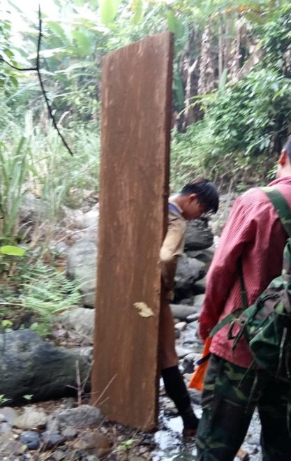 Xót xa nhìn rừng Hoá Sơn, Quảng Bình bị lâm tặc “đại phẫu”