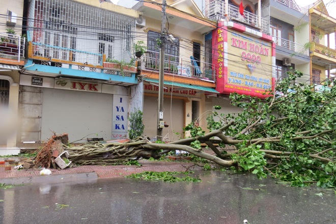 Quảng Bình: Bão kéo sập cổng chào, làm ngập loạt đường, khiến 1 người chết 
