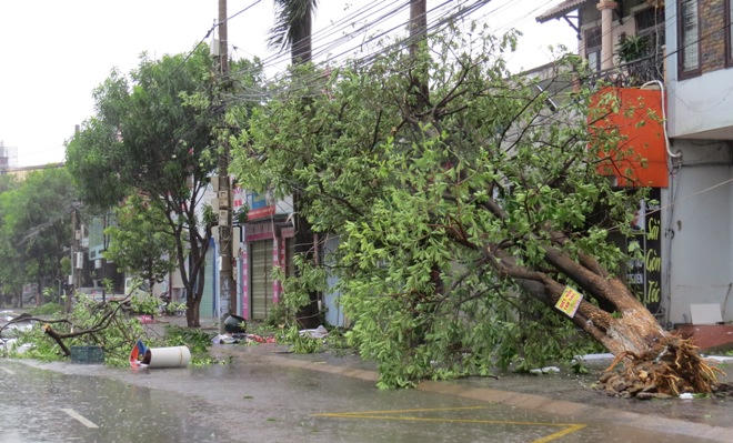 Quảng Bình: Bão kéo sập cổng chào, làm ngập loạt đường, khiến 1 người chết 