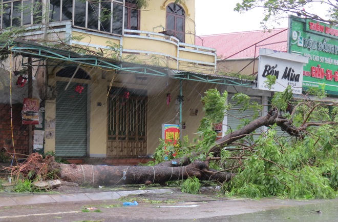 Quảng Bình: Bão kéo sập cổng chào, làm ngập loạt đường, khiến 1 người chết 