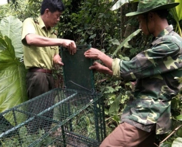 Quảng Bình: Cứu hộ nhiều động vật hoang dã và thả về tự nhiên