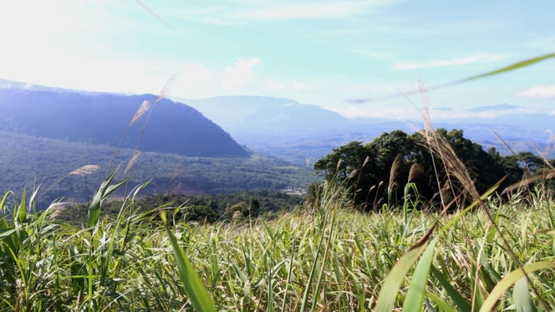 Những bước chân thầm lặng nơi biên giới Việt - Lào