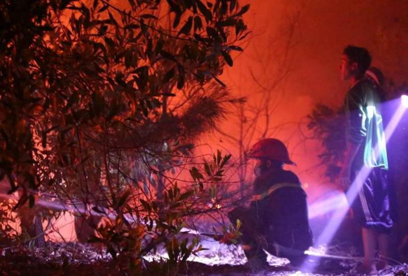 Quảng Bình: Huy động cả Công an, Quân đội, dân quân dập cháy hàng chục hecta rừng 