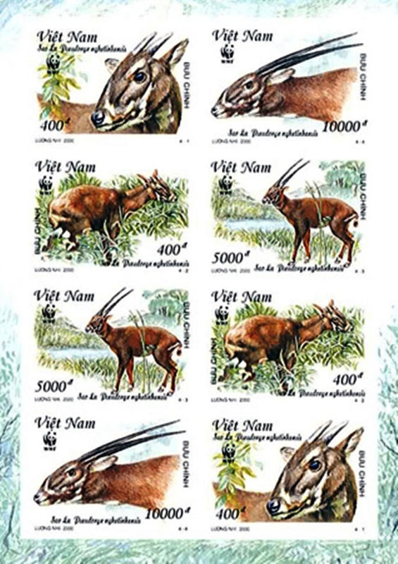 Bất ngờ xuất hiện động vật vô cùng quý hiếm nguy cơ tuyệt chủng