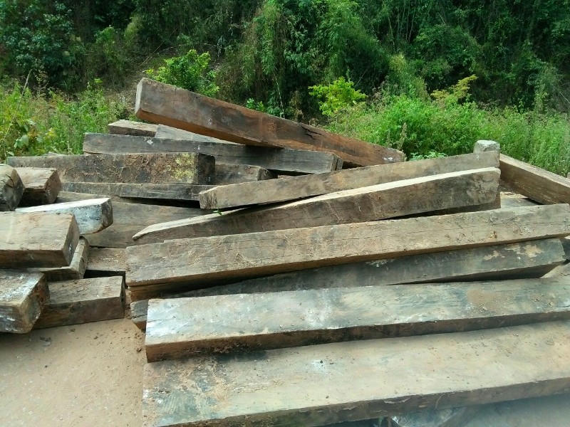 Vụ phá rừng gỗ mun trong Vườn Di sản Phong Nha: 'Lật tẩy bí mật' của 2 hộ dân