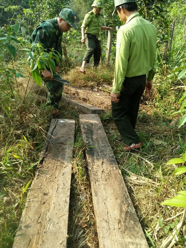Vụ phá rừng gỗ mun trong Vườn Di sản Phong Nha: 'Lật tẩy bí mật' của 2 hộ dân