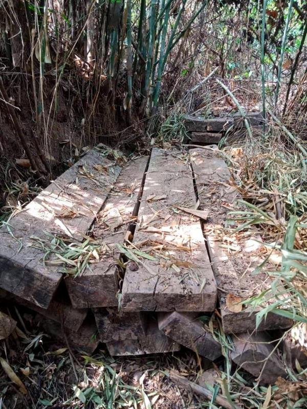 Vụ phá rừng gỗ mun trong Vườn Di sản Phong Nha: 'Lật tẩy bí mật' của 2 hộ dân