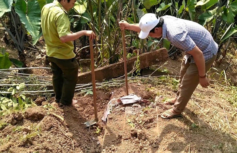 Dựng lại hiện trường vụ phá rừng gỗ mun trong Vườn di sản Phong Nha