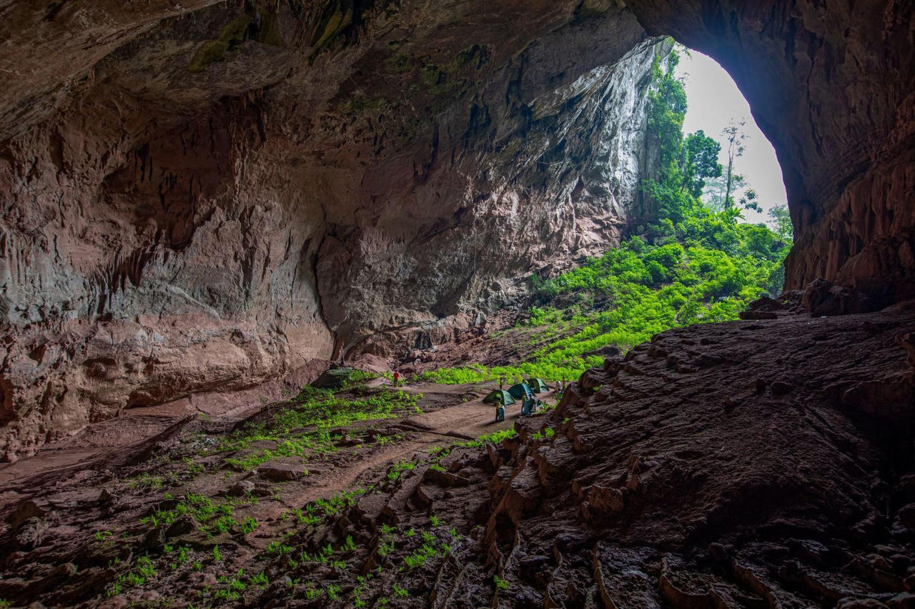 Jungle Boss sẽ livestream giải đáp cho khách vào hang động Quảng Bình mùa “bình thường mới”