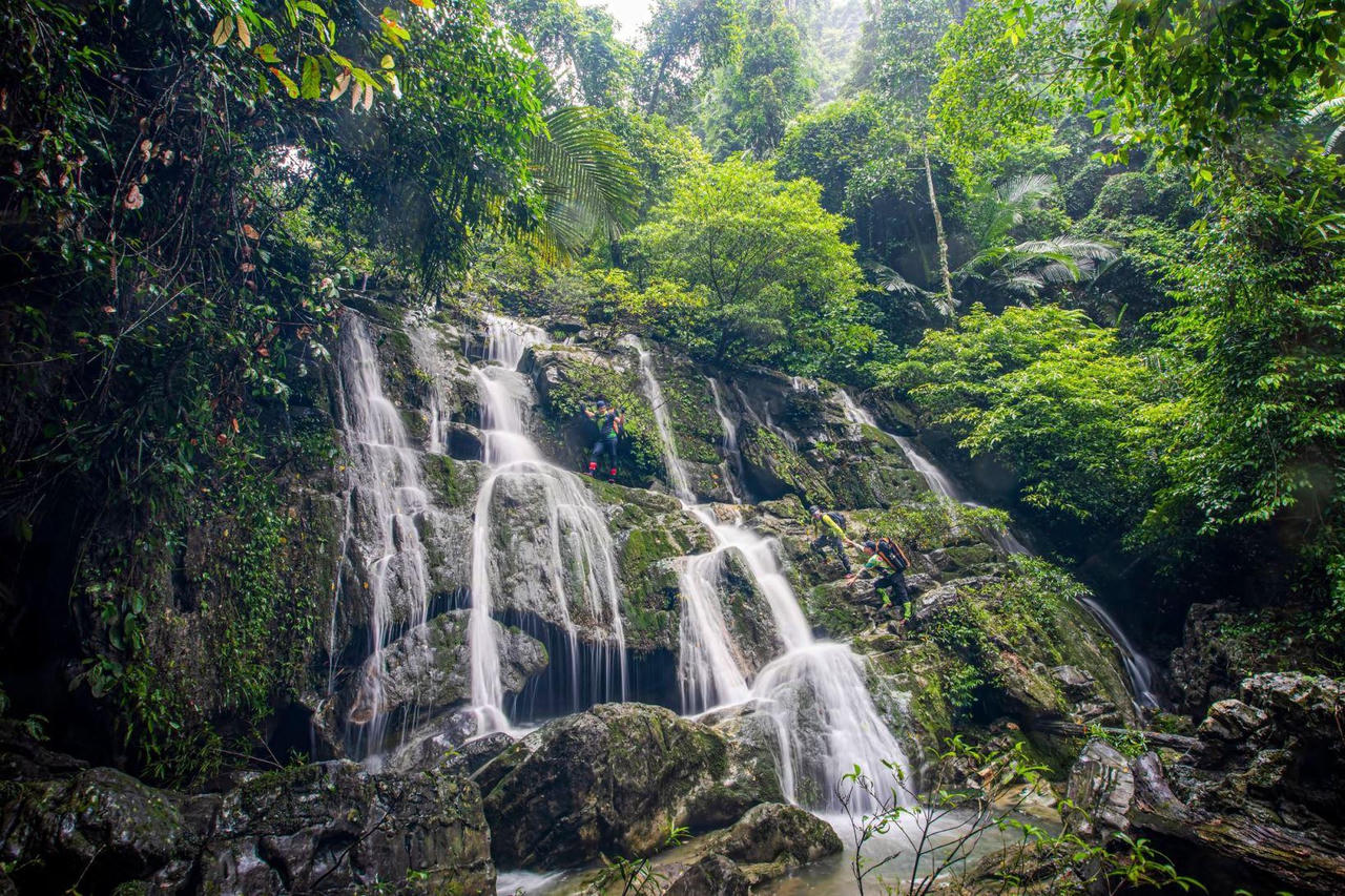 Jungle Boss sẽ livestream giải đáp cho khách vào hang động Quảng Bình mùa “bình thường mới”