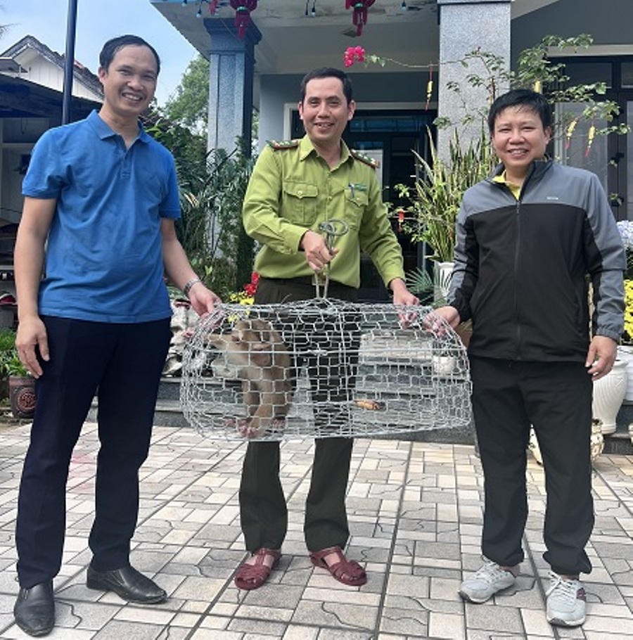 Vườn Phong Nha – Kẻ Bàng (Quảng Bình) tiếp nhận khỉ đuôi lợn quý, hiếm để cứu hộ