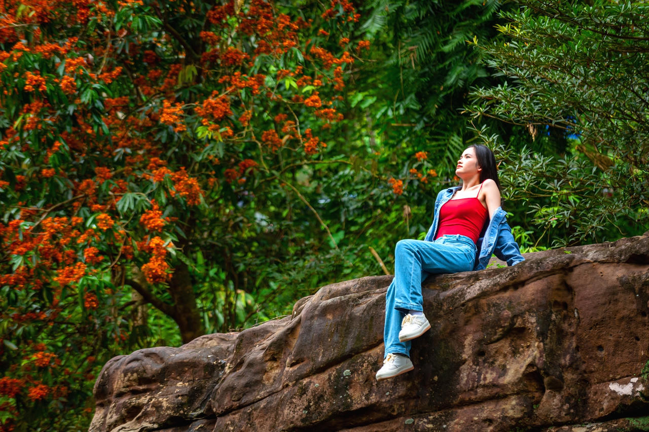 Hoa Vàng Anh khoe sắc bên suối Mọoc giữa rừng Di sản Phong Nha