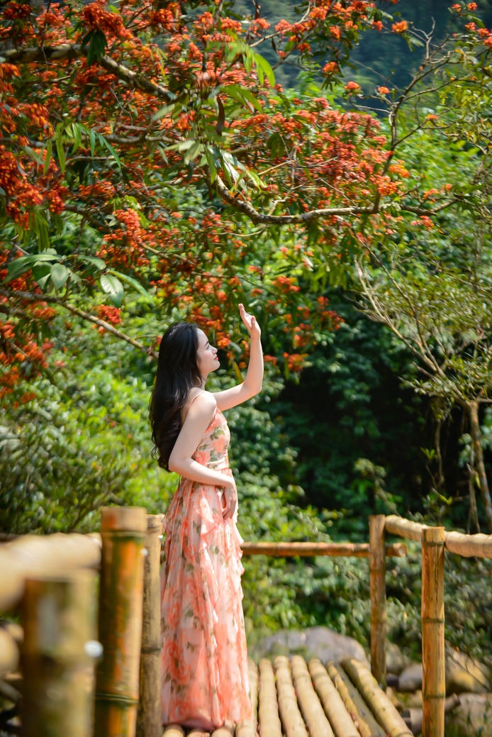 Hoa Vàng Anh khoe sắc bên suối Mọoc giữa rừng Di sản Phong Nha