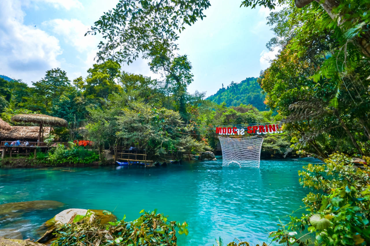 Hoa Vàng Anh khoe sắc bên suối Mọoc giữa rừng Di sản Phong Nha