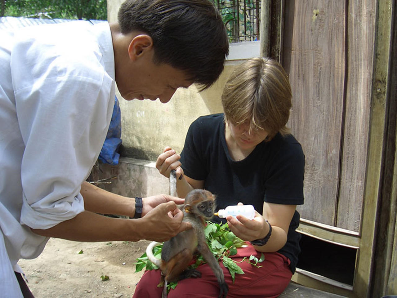 Để rừng xanh mãi bình yên