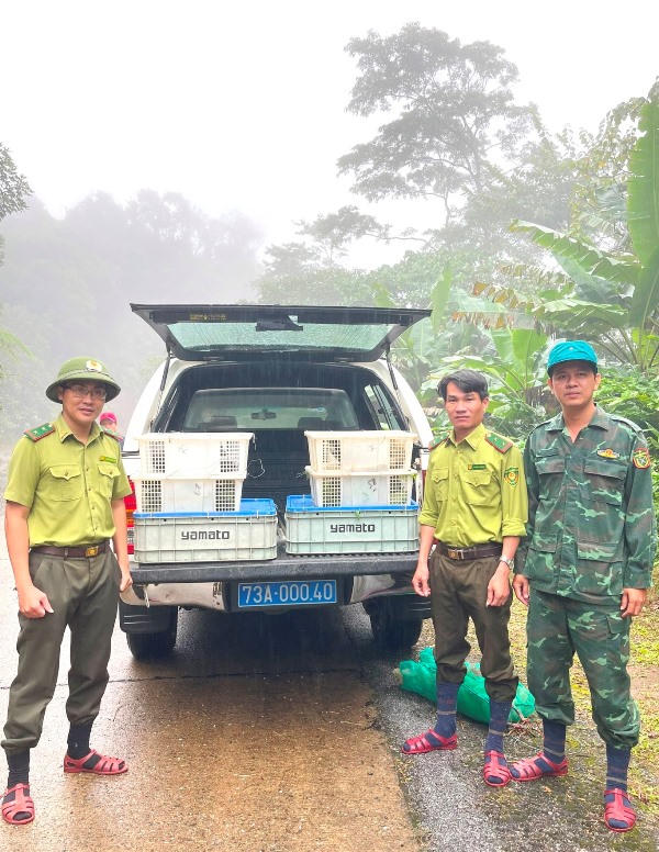 Để rừng xanh mãi bình yên