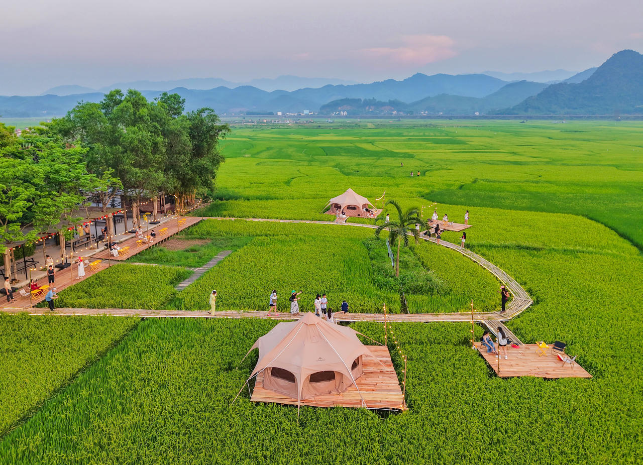 Cánh đồng lúa Jungle Boss Travelodge ở Quảng Bình khiến giới trẻ say đắm với thiên nhiên