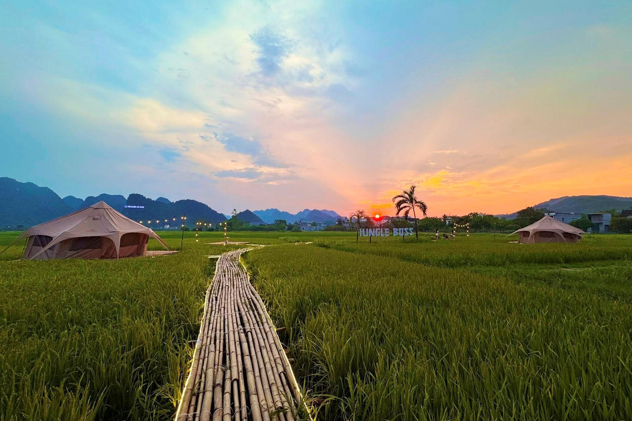 Cánh đồng lúa Jungle Boss Travelodge ở Quảng Bình khiến giới trẻ say đắm với thiên nhiên