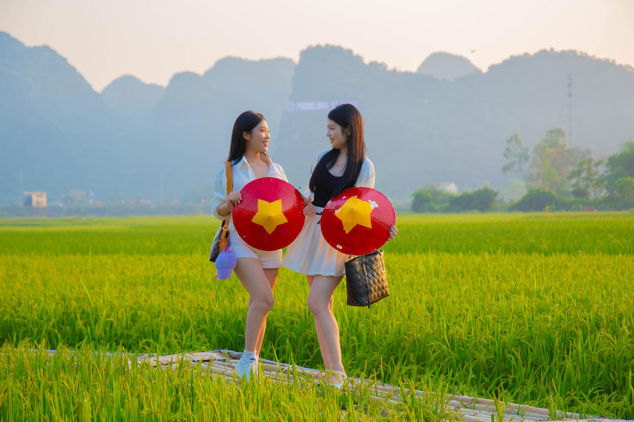 Cánh đồng lúa Jungle Boss Travelodge ở Quảng Bình khiến giới trẻ say đắm với thiên nhiên